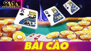 Tổng quan về bài cào