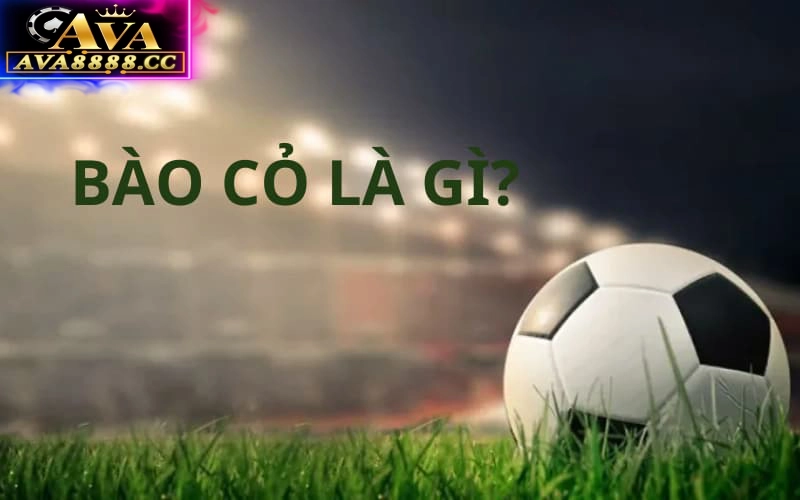 Tìm hiểu về định nghĩa của thuật ngữ “Bào cỏ”