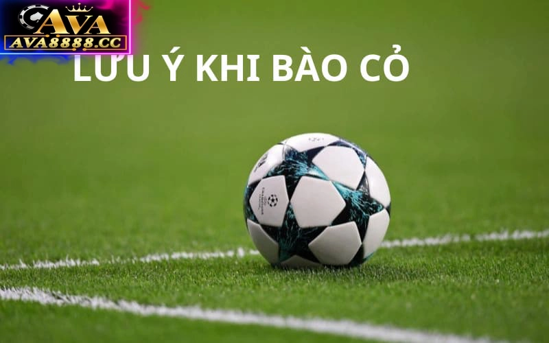 Những lưu ý khi thực hiện Bào Cỏ